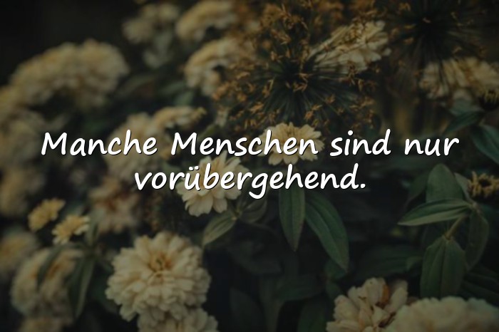 Bilder mit falsche menschen sprüche - 5