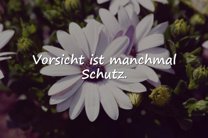 Bilder mit falsche menschen sprüche - 21