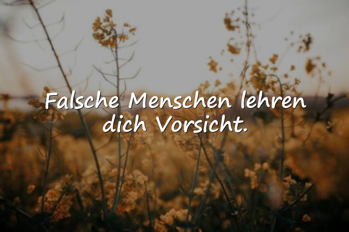 Bilder mit falsche menschen sprüche - 14