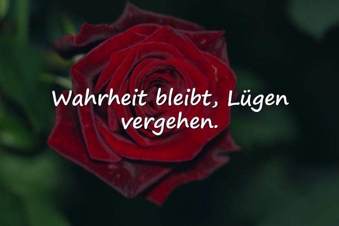 Bilder mit falsche menschen sprüche - 5
