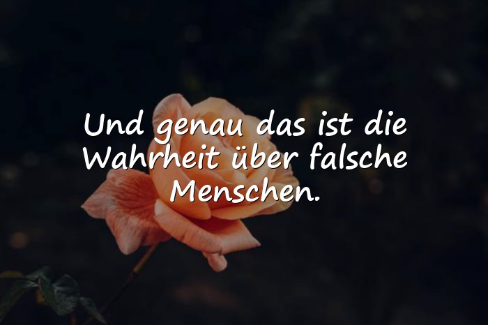 Bilder mit falsche menschen sprüche - 1