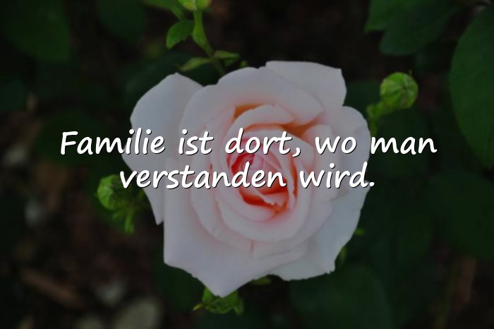 Bilder mit familie sprüche - 12