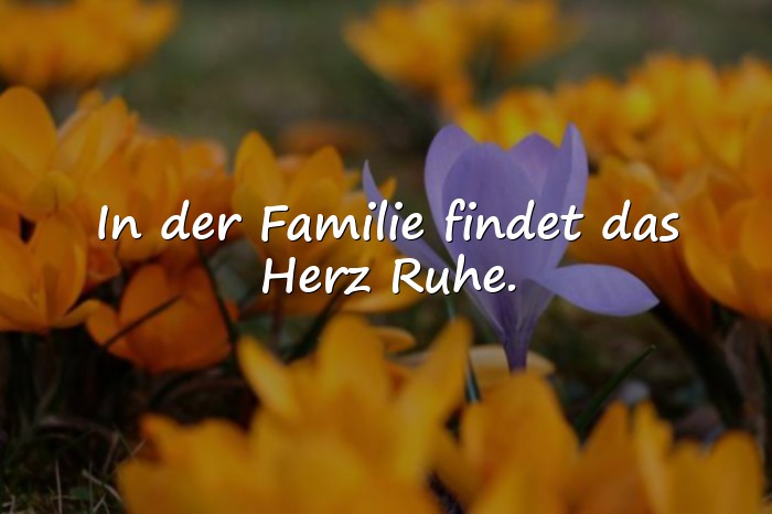 Bilder mit familie zitat - 11