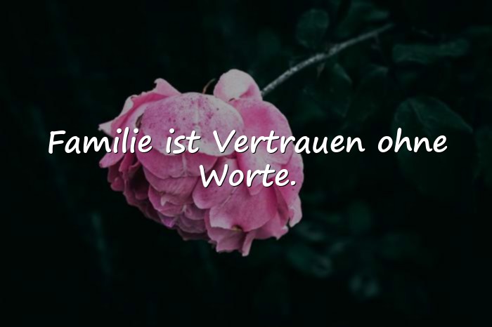 Bilder mit familie zitat - 22