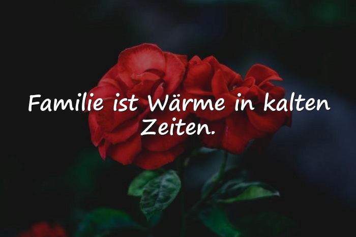 Bilder mit familie zitat - 19