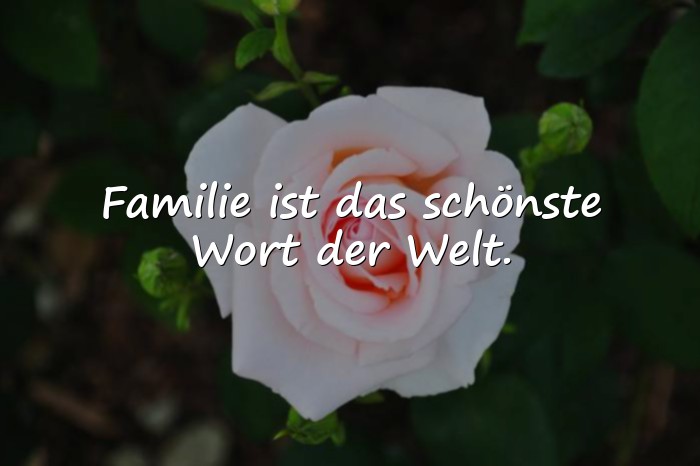 Bilder mit familie zitat - 10