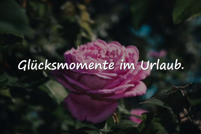 Bilder mit ferien sprüche - 16