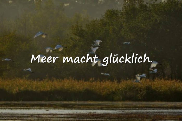 Bilder mit ferien sprüche - 6
