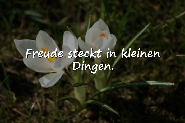 Bilder mit freude sprüche - 21
