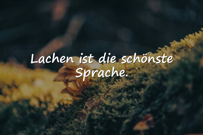 Bilder mit freude sprüche - 16