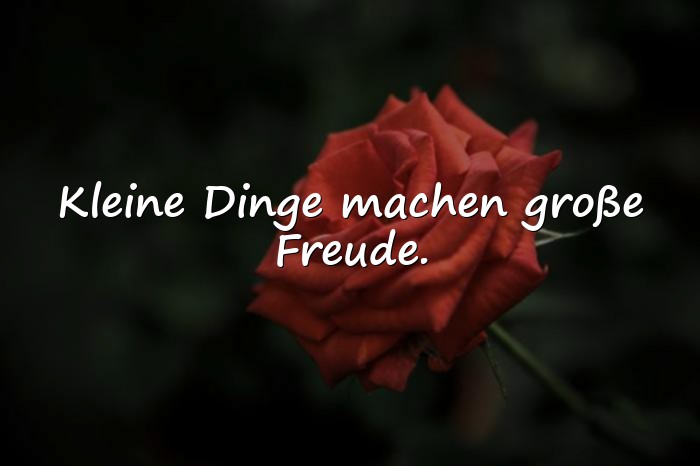 Bilder mit freude sprüche - 11