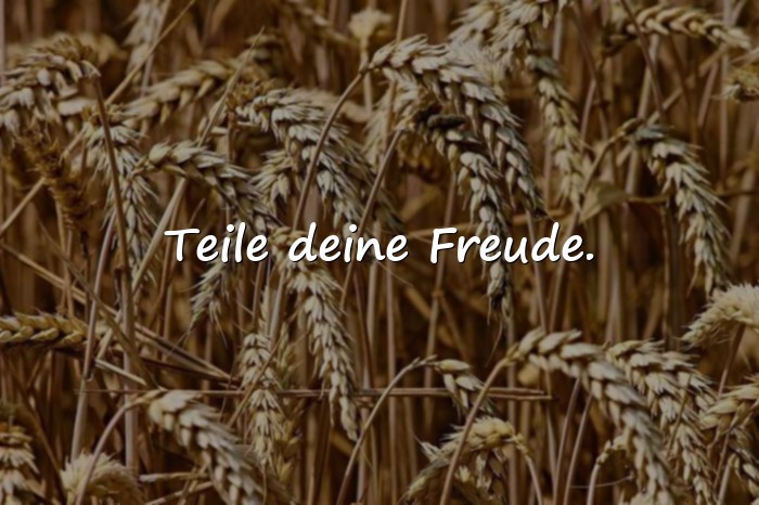 Bilder mit freude sprüche - 1