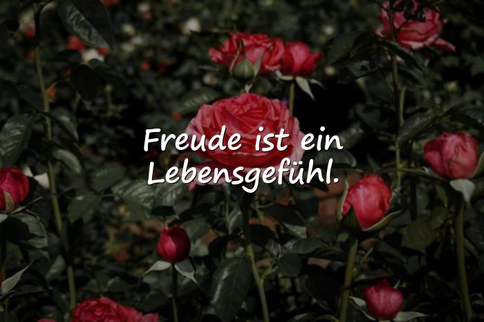 Bilder mit freude sprüche - 21