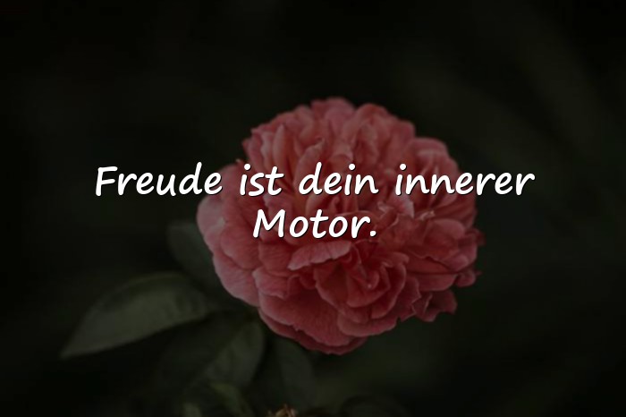Bilder mit freude sprüche - 11