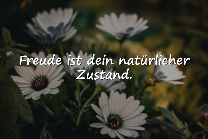 Bilder mit freude sprüche - 6
