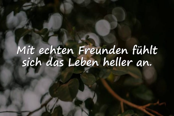 Bilder mit freunde sprüche - 24