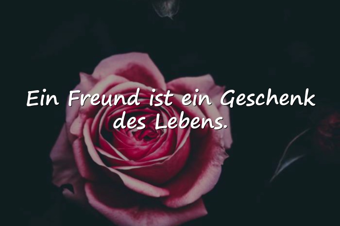 Bilder mit freunde sprüche - 20