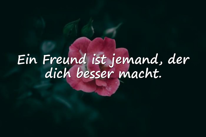 Bilder mit freunde sprüche - 17