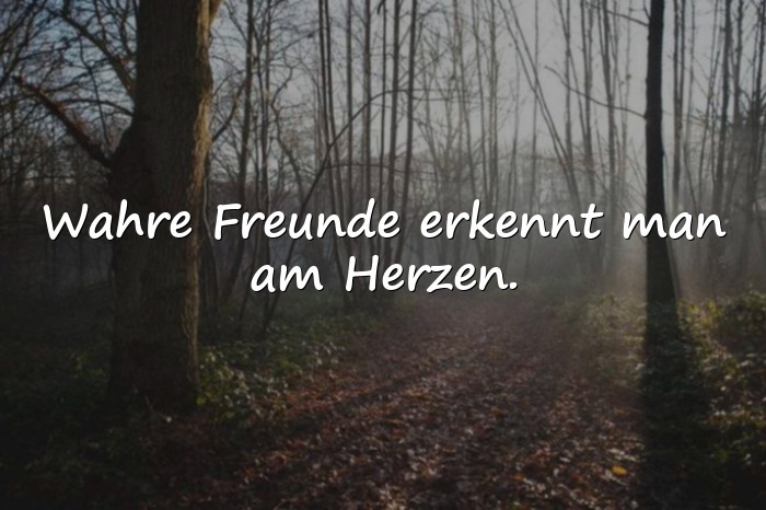 Bilder mit freunde sprüche - 9