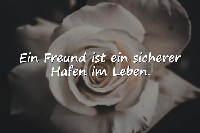 Bilder mit freunde sprüche - 7