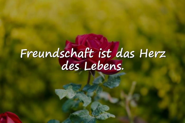 Bilder mit freunde sprüche - 1