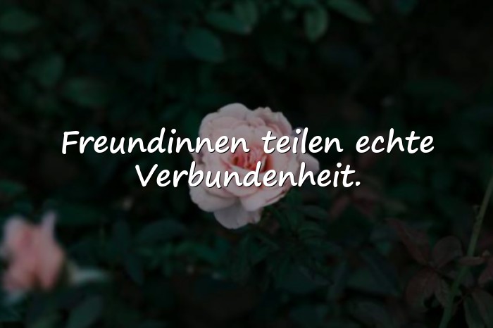 Bilder mit freundinnen sprüche - 12