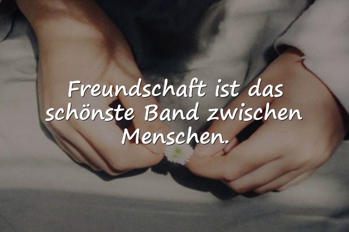 Bilder mit freundschaft sprüche - 1