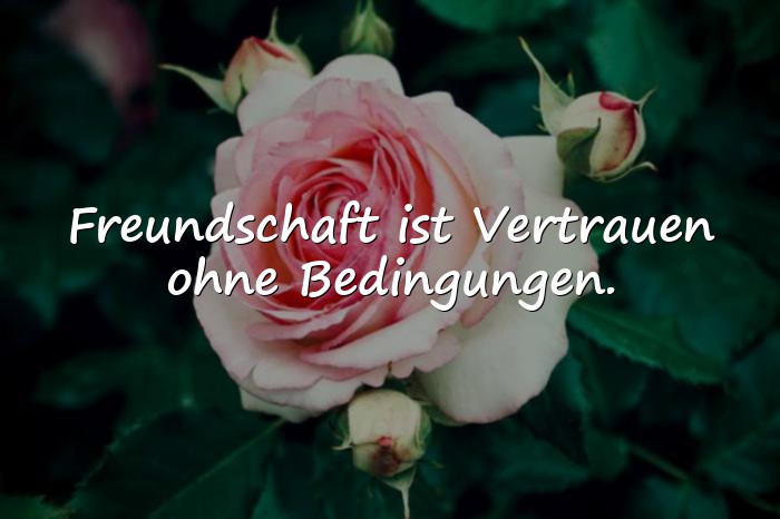 Bilder mit freundschaft sprüche - 5