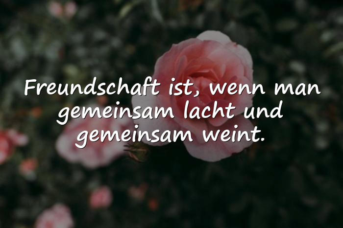 Bilder mit freundschaft sprüche - 21