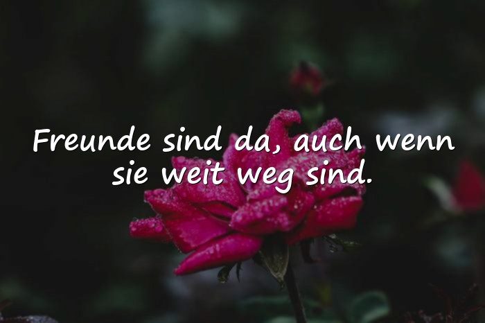 Bilder mit freundschaft sprüche - 13