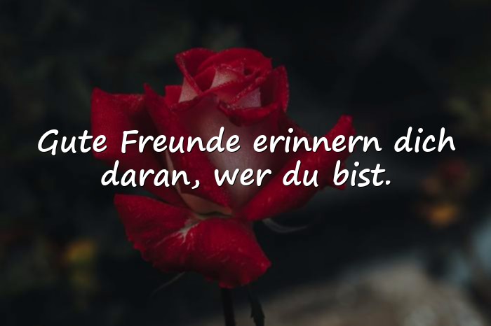 Bilder mit freundschaft sprüche - 10