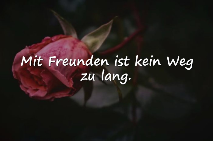 Bilder mit freundschaft sprüche - 5