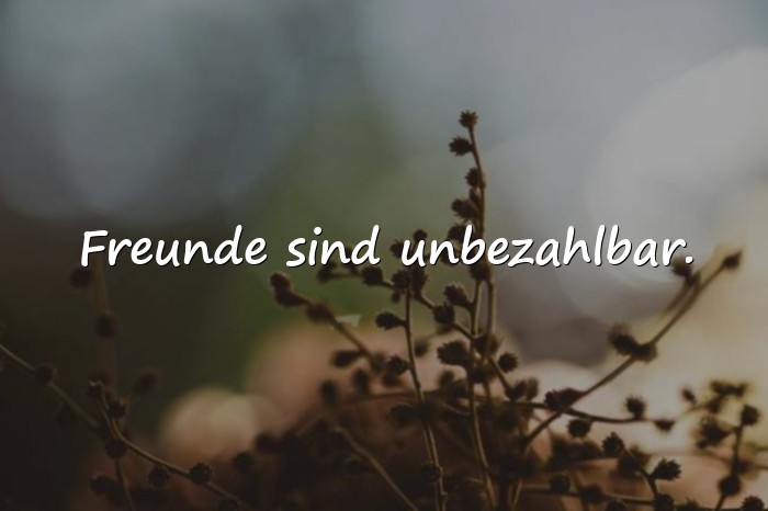 Bilder mit friends sprüche - 19