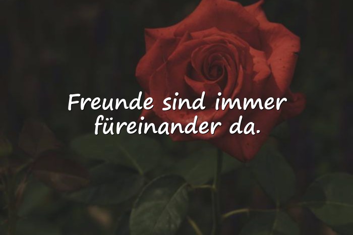 Bilder mit friends sprüche - 16