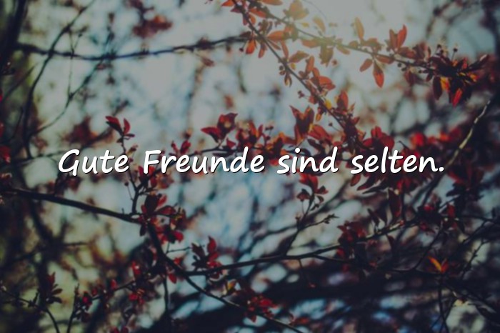 Bilder mit friends sprüche - 11