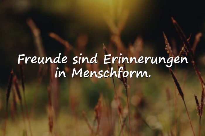 Bilder mit friends sprüche - 6