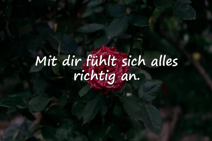 Bilder mit friends sprüche - 21