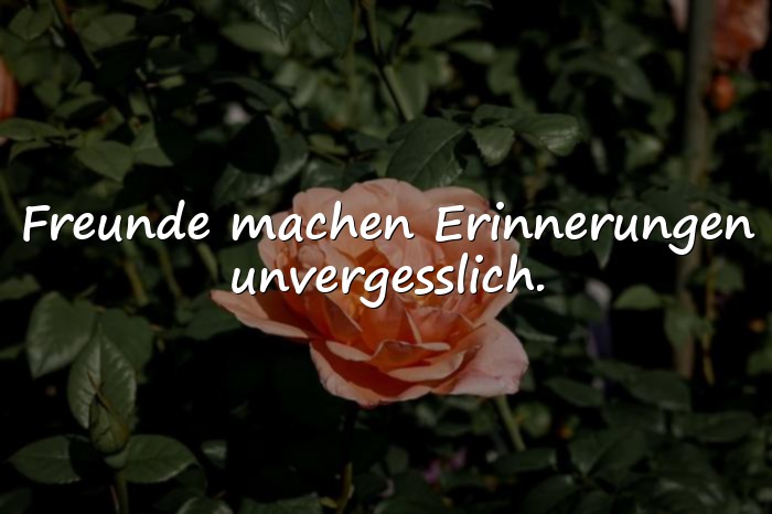 Bilder mit friends sprüche - 16
