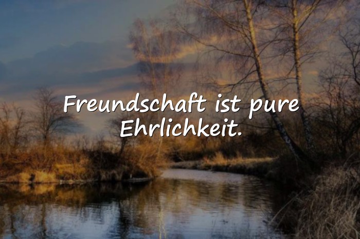 Bilder mit friends sprüche - 6