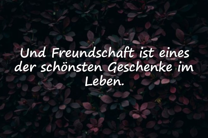 Bilder mit friends sprüche - 1