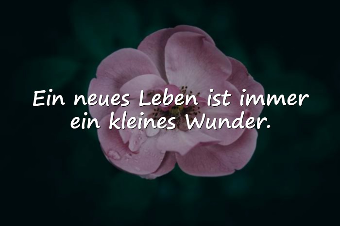Bilder mit geburtssprüche - 14