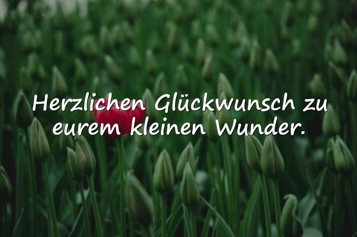 Bilder mit geburtssprüche - 24