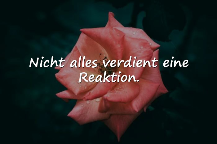 Bilder mit gelassenheit sprüche - 18