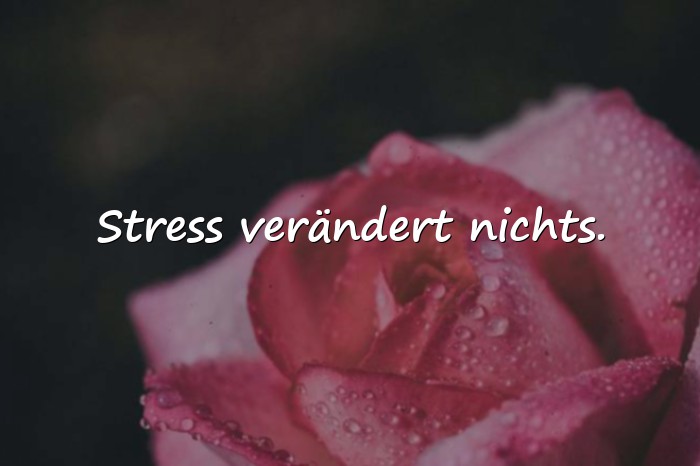 Bilder mit gelassenheit sprüche - 13