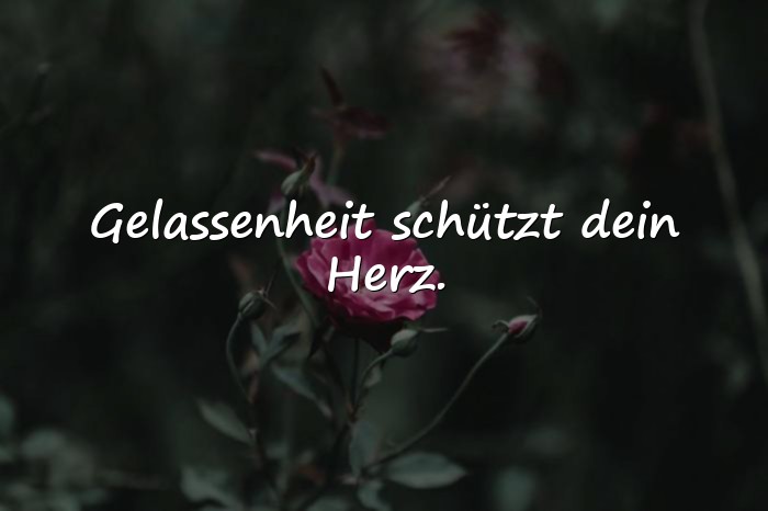 Bilder mit gelassenheit sprüche - 4