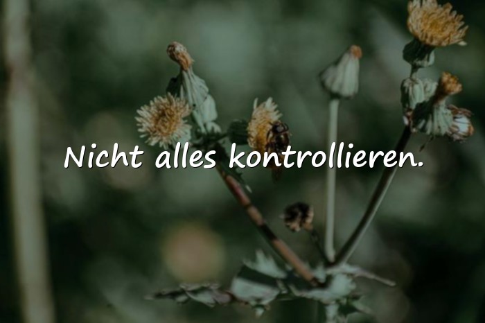 Bilder mit gelassenheit sprüche - 6