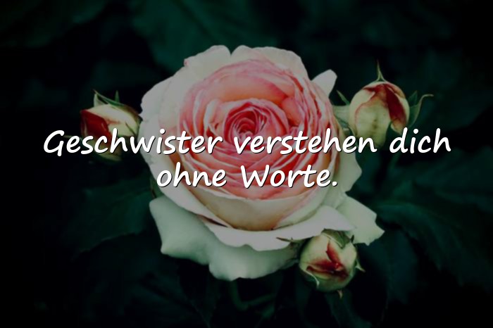 Bilder mit geschwister sprüche - 8
