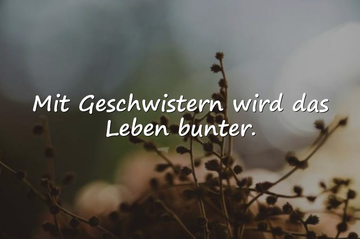 Bilder mit geschwister sprüche - 4
