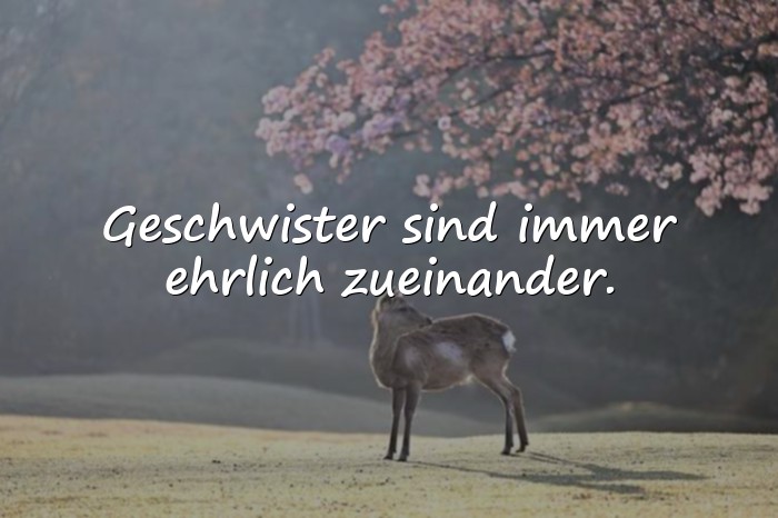 Bilder mit geschwister sprüche - 21