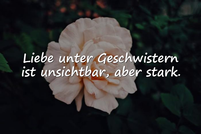 Bilder mit geschwister sprüche - 17